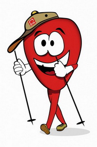 Программа 2. Сердечно-сосудистая система + оптимизация техники х